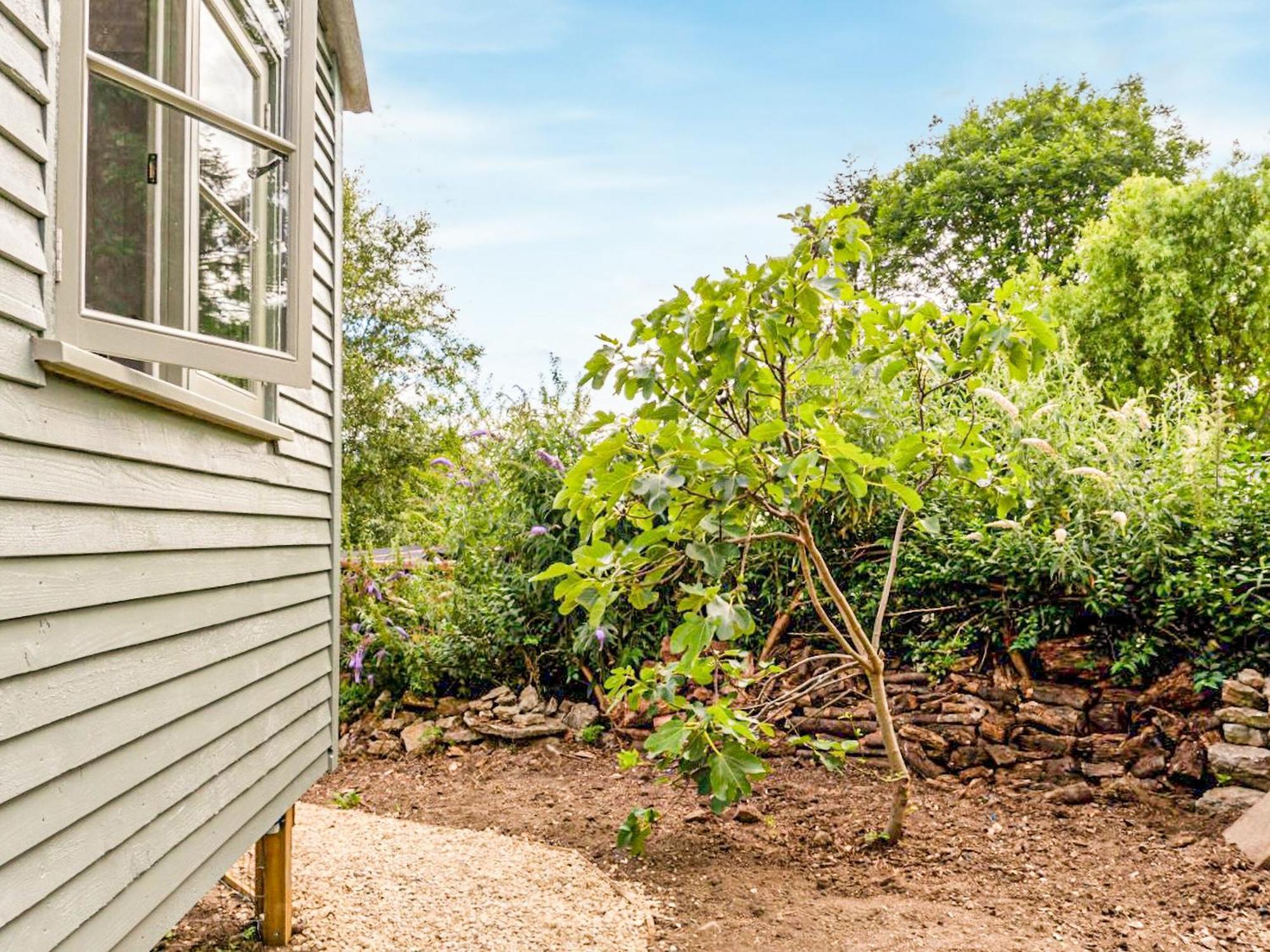 Fig Tree Shepherds Hut 布里德波特 外观 照片